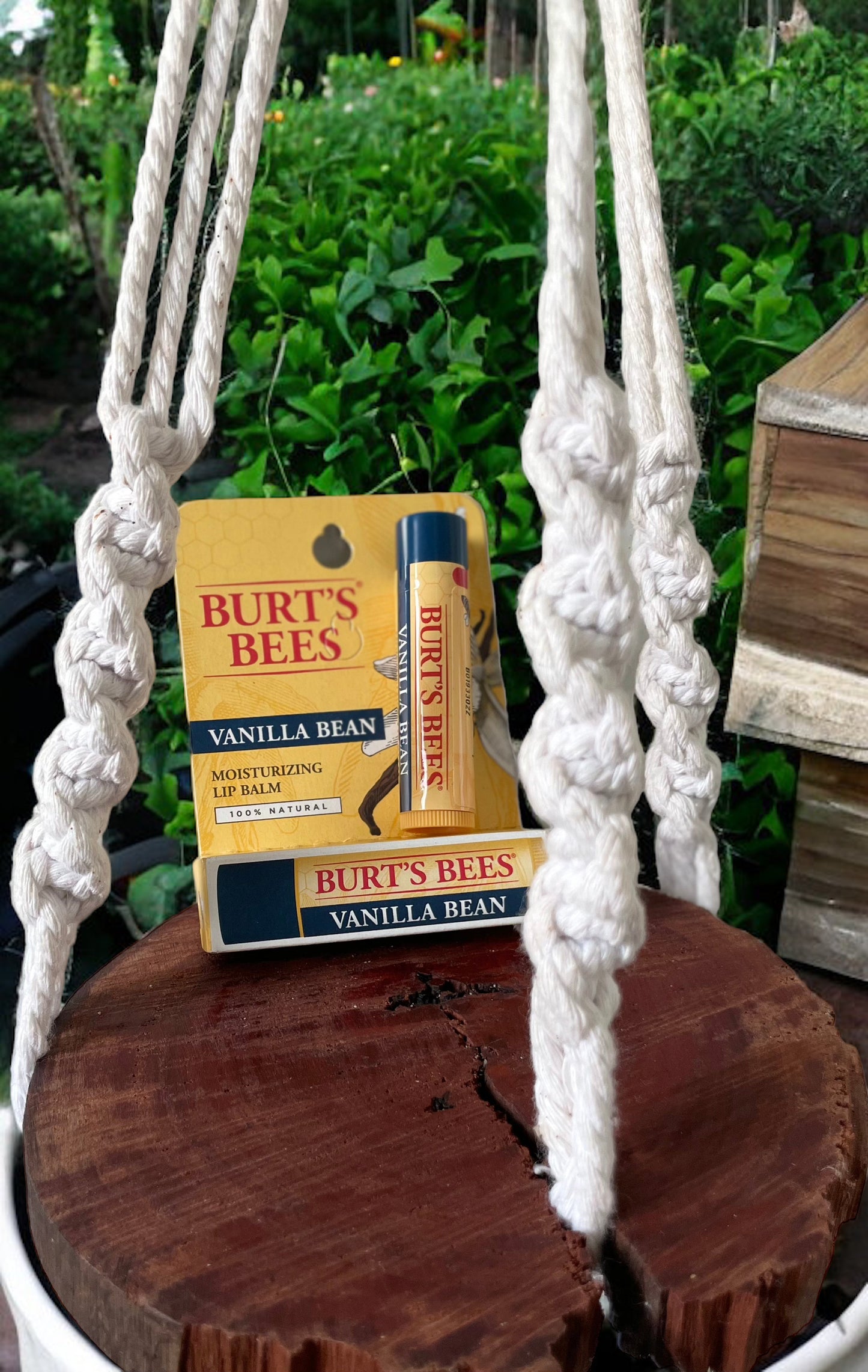 Burt’s bees vanilla bean lip balm